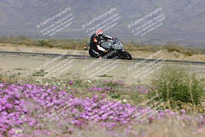 media/Feb-04-2023-SoCal Trackdays (Sat) [[8a776bf2c3]]/Turn 15 Inside Blooming (1050am)/